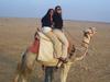 Study Abroad