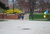 Dsc_0632_thumb