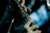 Thumb_ph2009101718129