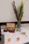 Thumb_ph2009101718421524
