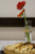 Thumb_ph2009101718421540