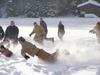 Elk River Retreat