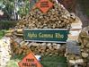 Log-A-Thon