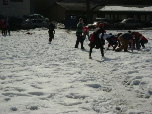 1216254775_photos_74233_large.jpg