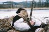 Hunting, Fishing and the Likes