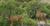 Thumb_1206928887_photos_58551_large