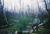 Thumb_1216254701_photos_74228_large