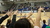Thumb_dsc02201