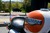 Thumb_img_7059
