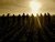 Thumb_163218_467474152990_543232990_5581628_569358_n
