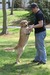 Small_image
